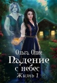 постер аудиокниги Падение с небес. Книга 1