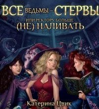 постер аудиокниги Все ведьмы – стервы, или Ректору больше (не) наливать