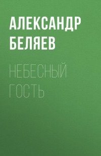 постер аудиокниги Небесный гость