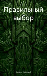 постер аудиокниги Правильный выбор