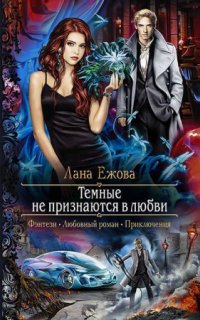 постер аудиокниги Воины ордена Кромешной Тьмы 2. Страж Вьюги и я