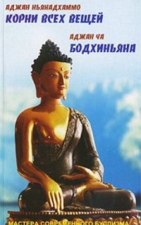 постер аудиокниги Бодхиньяна