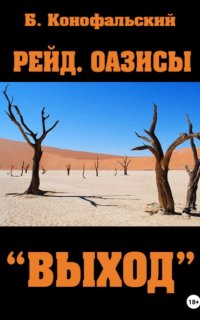 постер аудиокниги Рейд 7. Оазисы. «Выход»