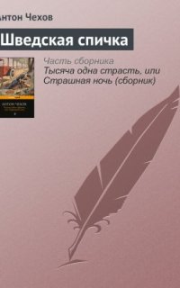 постер аудиокниги Шведская спичка