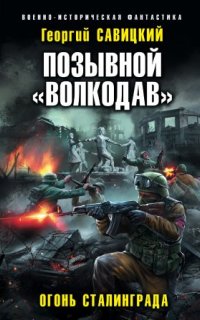 Позывной «Волкодав» 2. Огонь Сталинграда - Георгий Савицкий