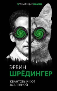 постер аудиокниги Квантовый кот вселенной