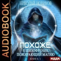постер аудиокниги Похоже, я шизофреник, пожирающий магию