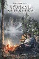 постер аудиокниги Хроники Книжника 2. Странник