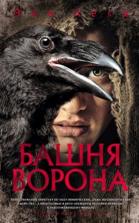 постер аудиокниги Башня ворона