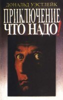 постер аудиокниги Приключение — что надо!