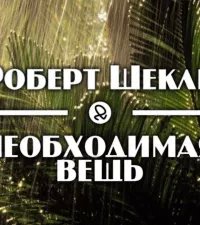 постер аудиокниги Необходимая вещь