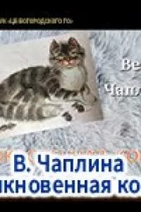 постер аудиокниги Обыкновенная кошка