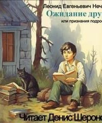 постер аудиокниги Ожидание друга, или признания подростка