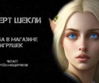 постер аудиокниги Пальба в магазине игрушек