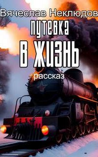 постер аудиокниги Путевка в жизнь