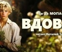 постер аудиокниги Вдова