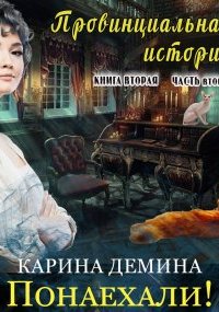 постер аудиокниги Провинциальная история (книга 2) часть 2