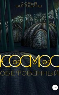 постер аудиокниги Космос обетованный