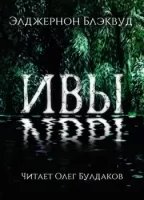 постер аудиокниги Ивы
