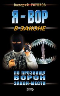 постер аудиокниги По прозвищу Ворон 1. Закон мести