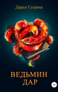 постер аудиокниги Ведь мы – ведьмы! 3. Ведьмин дар