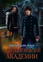 постер аудиокниги Адептка в мужской академии