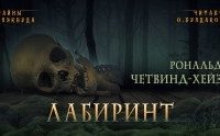 постер аудиокниги Лабиринт