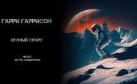 постер аудиокниги Лунный спорт