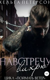постер аудиокниги Поймать ветер 3. Навстречу вихрю