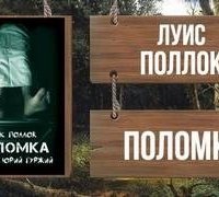 постер аудиокниги Поломка