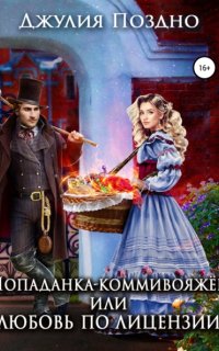 постер аудиокниги Попаданка