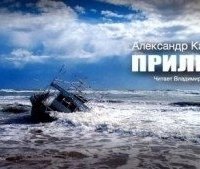постер аудиокниги Прилив