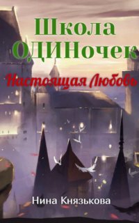 постер аудиокниги Школа ОДИНочек 1. Настоящая Любовь