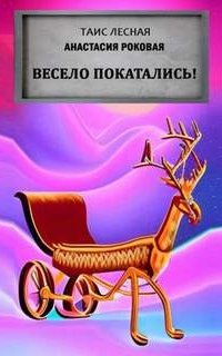 постер аудиокниги Весело покатались!