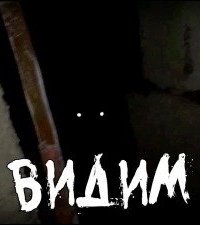 постер аудиокниги ВИДИМ