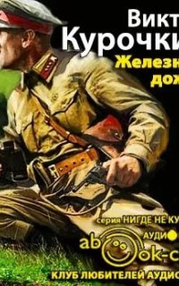 постер аудиокниги Железный дождь