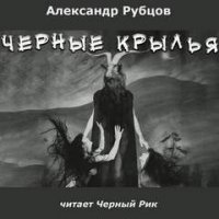 постер аудиокниги Черные крылья