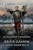 постер аудиокниги Два в одном 4. Барон поневоле
