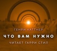 постер аудиокниги Что вам нужно