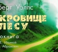 постер аудиокниги Cокровище в лесу