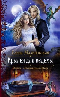 постер аудиокниги Злоключения ведьмочки 3. Крылья для ведьмы
