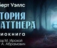 постер аудиокниги История Платтнера