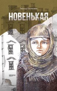 постер аудиокниги Новенькая