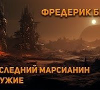 постер аудиокниги Последний марсианин. Оружие