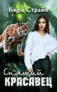 постер аудиокниги Спящий красавец
