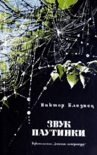 постер аудиокниги Звук паутинки
