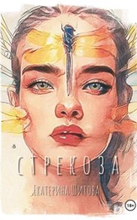постер аудиокниги Стрекоза