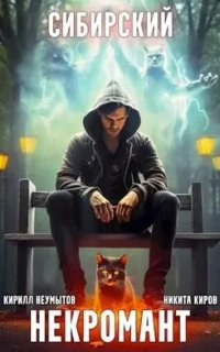 постер аудиокниги Сибирский некромант. Книга 1