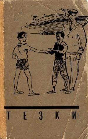 постер аудиокниги Тёзки
