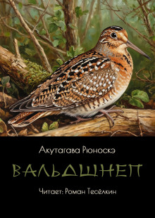 Вальдшнеп